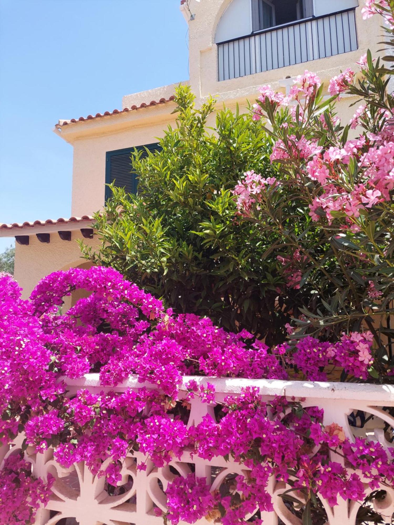 Haus Am Meer Torrevieja Exterior foto